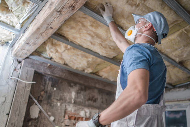 Best Insulation Materials and Products in Stinnett, TX
